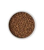 Frisco Round Meow Non-skid Ceramic Cat Bowl - Image 4