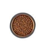 Frisco Matte Black Steel Bowl - Image 3