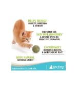 Raw Paws Compressed Catnip Ball - Image 3