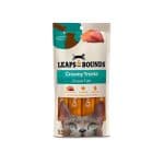 Leaps & Bounds Ocean Fish