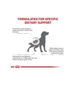 Royal Canin Veterinary Diet Renal - Image 4