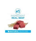 Purina ONE SmartBlend Small Breed Formula Beef - Image 3