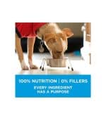 Purina ONE SmartBlend Small Breed Formula Beef - Image 4
