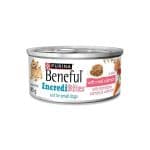 Purina Beneful Incredibites Real Salmon in Gravy