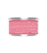 Purina Beneful Incredibites Real Salmon in Gravy - Image 2