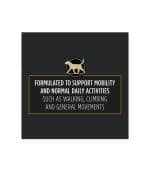 Purina Pro Plan Veterinary Supplements Joint Care Canine Joint Support Supplement - Image 4