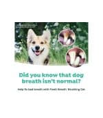 TropiClean Fresh Breath - Image 3