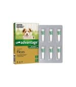 Advantage Green for Small Dog - Image 3