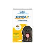 Interceptor Spectrum Yellow For Medium Dogs