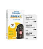 Interceptor Spectrum Yellow For Medium Dogs - Image 2