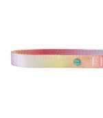 Frisco Pink Ombre Style Dog Collar - Image 2