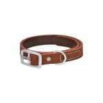 All Day Plain Leather Dog Collar