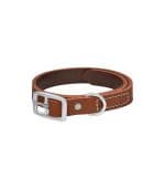 All Day Plain Leather Dog Collar