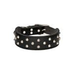 All Day Staffy Leather Dog Collar Black