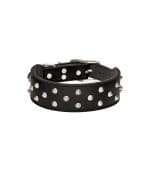 All Day Staffy Leather Dog Collar Black