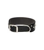 All Day Staffy Leather Dog Collar Black - Image 2