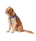 Frisco Nylon Step In Back Clip Dog Harness - Image 2