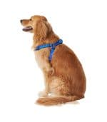 Frisco Nylon Step In Back Clip Dog Harness - Image 3