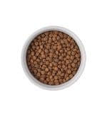 Frisco Bones Non-skid Ceramic Bowl - Image 4