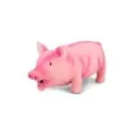 Durmaz Pig