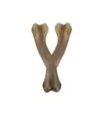 Zeus Nosh Strong Bacon Chew Wishbone - Image 2