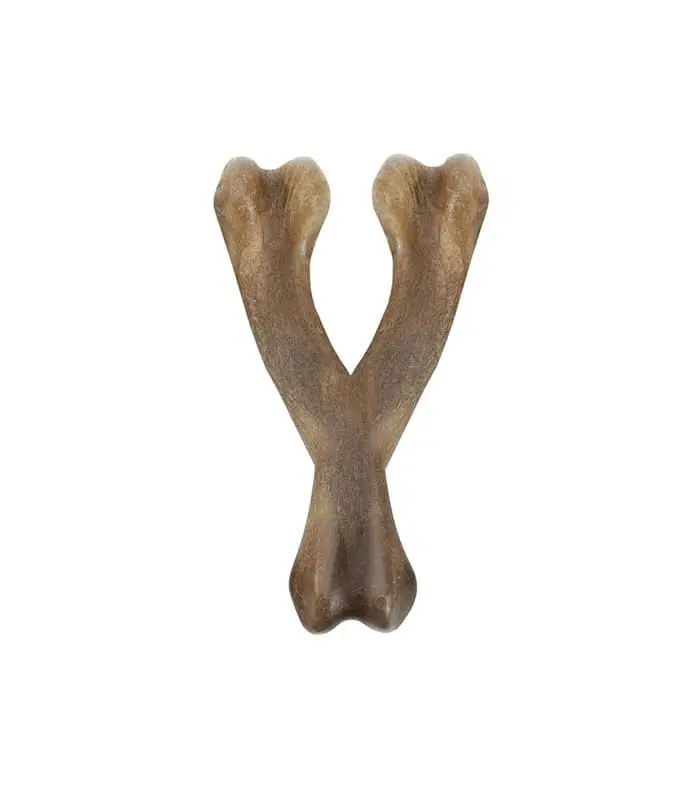 Zeus Nosh Strong Bacon Chew Wishbone - Image 2