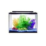 Terra Aqua Tropical Learner Aquarium 28L