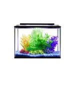 Terra Aqua Tropical Learner Aquarium 28L