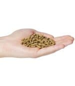 Kalmbach Feeds 15% Pellets Rabbit Feed - Image 2
