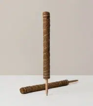 Coco Coir Pole - Image 2