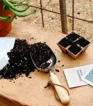 Coco Coir Pole - Image 4