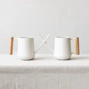 Watering Can