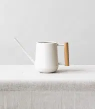 Watering Can - Image 2