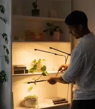 Full Spectrum LED Grow Light - Image 2