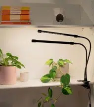 Full Spectrum LED Grow Light - Image 3