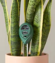 3-in-1 Soil Moisture Meter - Image 2