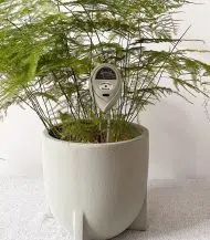 3-in-1 Soil Moisture Meter - Image 3