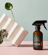 Neem Oil Natural Leaf Shine - Image 3