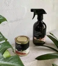 Indoor Plant Foliage Spray - Image 3