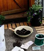 Organic Potting Mix - Image 4
