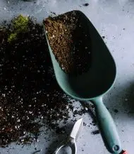 Organic Potting Mix - Image 3