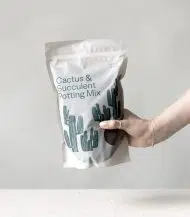 Cactus & Succulent Potting Mix - Image 3