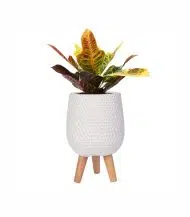 Honeycomb Style - Image 3