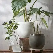 Mica Douro Pot