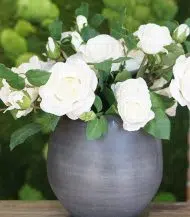 Mica Douro Pot - Image 2