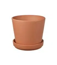Brunbar - Image 3