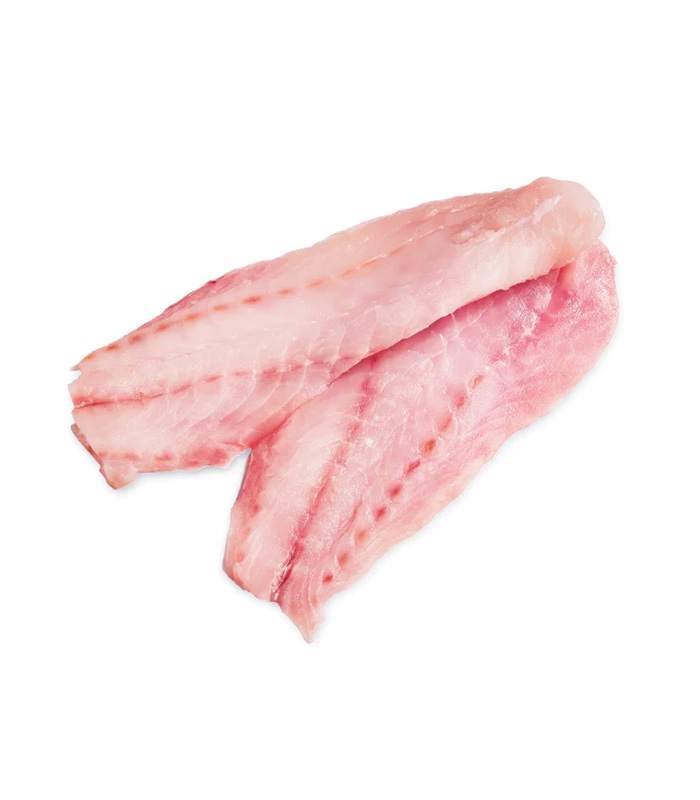 vg-sf-frshf-6 Pacific Rockfish - Image 1