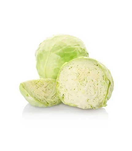 Cabbage White