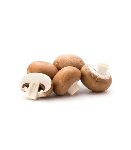 Chestnut Mushroom
