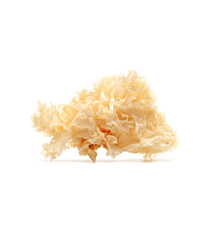 vg-vaf-m-8 Dried White Fungus - Image 1